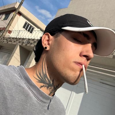 renarctic's profile picture. i just wanted to be one of the strokes