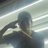 Drumbun_131425's profile image