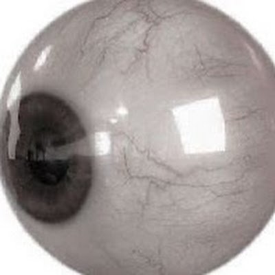 hagyeol227370's profile picture. 이게 도대체 몇 번째 정지냐고