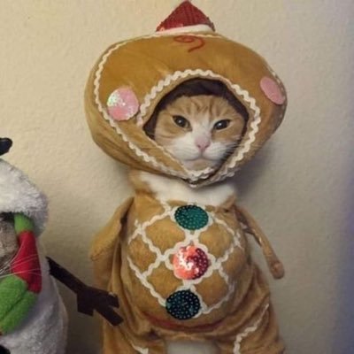 lZZYSAMA's profile picture. never gonna let u down