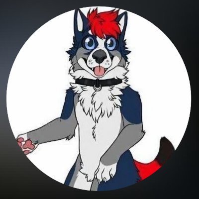 Husko_the_boyo's profile picture. He/him
21
Dms open feel free to chat
I dont use x very often sorry if replys are slow