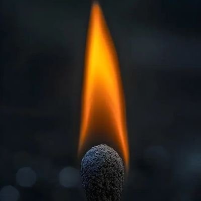 BlowingFactsss's profile picture. Real latest weird, Bizarre , interesting and unpredictable news from all the world