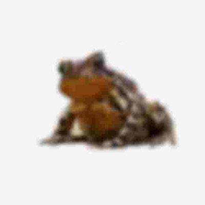 snorriskya's profile picture. He-Him/20
trying to make a game rn
and I draw sometimes