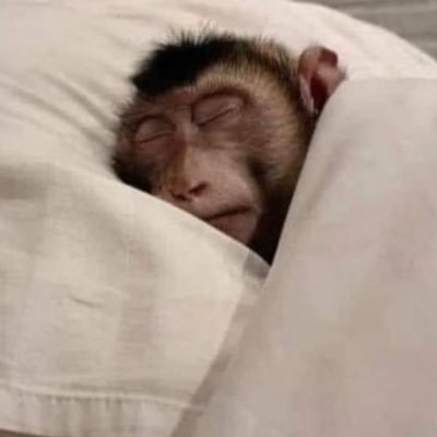 Iamdaveydo's profile picture. if any man be in Christ... A Christian and a Believer