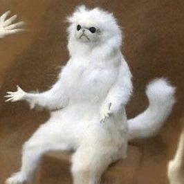 awara__octopus's profile picture. I tried to be the light, and now that’s all I am—
a night lamp