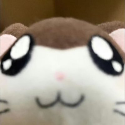 meyogggg's profile picture. 기현이한테 사기당함 모두 조심하세요