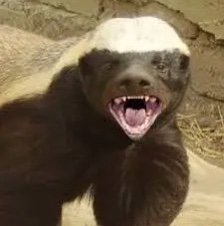 PatrickIsBroke's profile picture. 