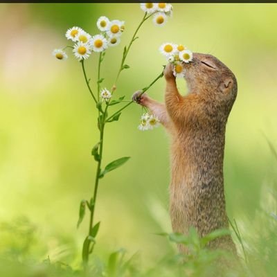 curlusnc's profile picture. It's always a lovely day 🙂