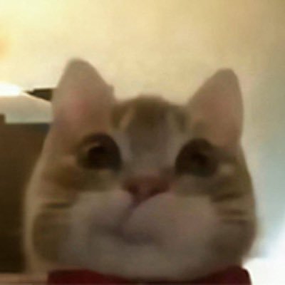 BigO3x's profile picture. Crypto Guy