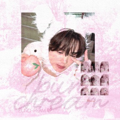 bunchreams's profile picture. the adorable flashes has been granted to the bunchream ^᪲