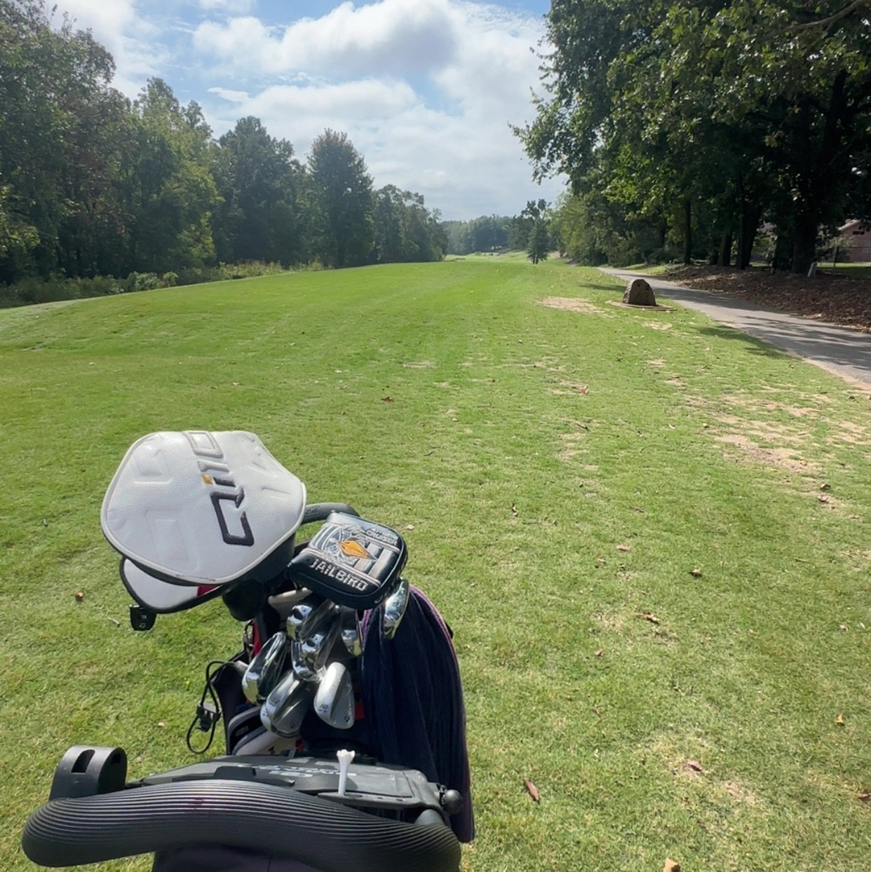 ColtonBlac08's profile picture. AP/Honors, 4.5 GPA, Pocahontas High 2027, 6’1 155lbs