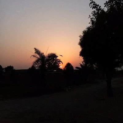 ڈیجیٹل میڈیا کوآرڈینیٹر تحصیل ٹنڈوالہیار