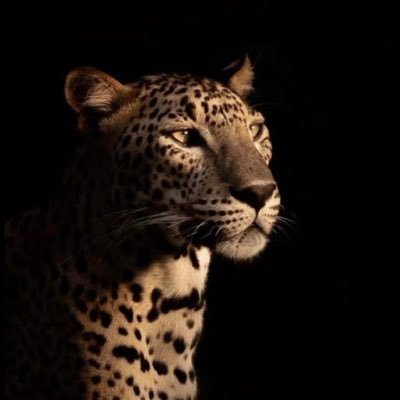 mahalifeStyle's profile picture. 