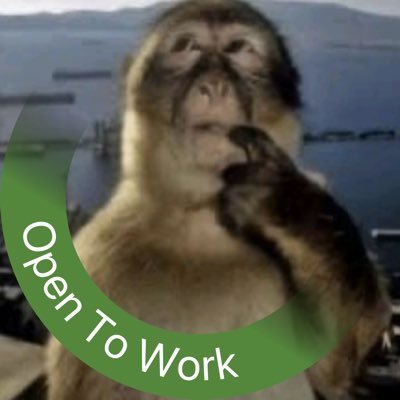 degen_monke69's profile picture. 