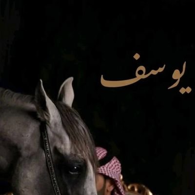 rrtyd124's profile picture. حقول رأيي عجبك هلا ما عجبك برضو هلا...
المملكة والاتحاد خط احمر🇸🇦💛🖤🫡🐅