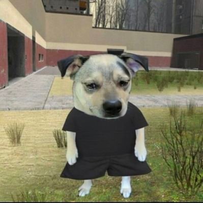 retorikacau's profile picture. the personality hire