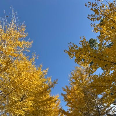 erNMzatO6c11716's profile picture. 