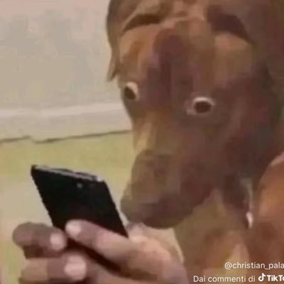 kaprll's profile picture. 17 | 🇮🇹 | Rocket League player | @HGEESPORTS