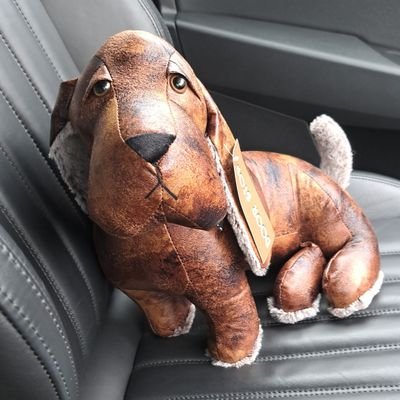 RockfordFld's profile picture. 