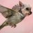 L0CACHICA's profile image