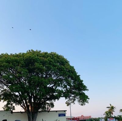 ArmourShi19795's profile picture. 👌