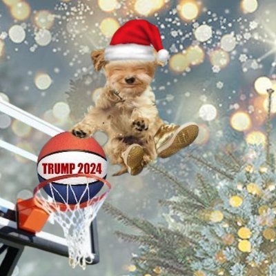 feisty_puppy's profile picture. Great Hair
Gifted in the Art of the Comeback
Playfully bites Lefties & MSMers
I woof American with all my heart!