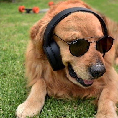 SahleWeynata's profile picture. 