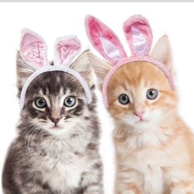 kiereme's profile picture. el demonio toma forma humana en mí