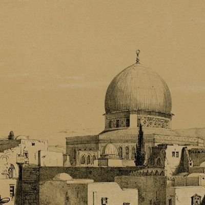 HadiHaq194172's profile picture. جذبوں کی صداقت زندہ ہے 🔺️