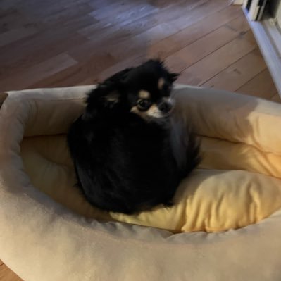 wa_tsw59582899's profile picture. 曲とか書く。バンドやりたい https://t.co/y3dA1v3cWY