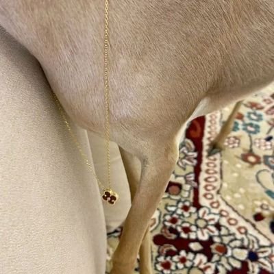 ss9739531196410's profile picture. 