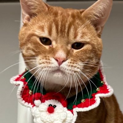 chogabmi's profile picture. 승연이에게 갑자기 미쳐서 갑미예요..