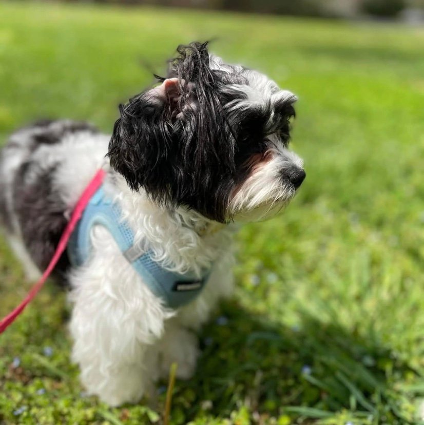 JenniferStdxec's profile picture. 