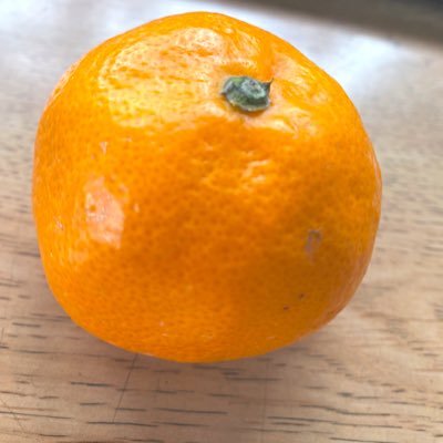 YU12611238's profile picture. @HassyTy←師匠！    案内士になりたい。 LM音読＋自由楽屋垢→🗽yuridiary34261 DM 🙅‍♀️