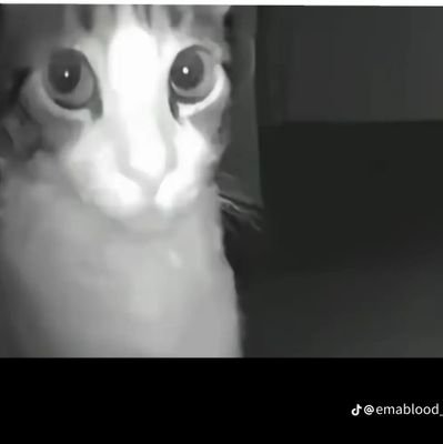 Cr0wb3rrY_32's profile picture. .