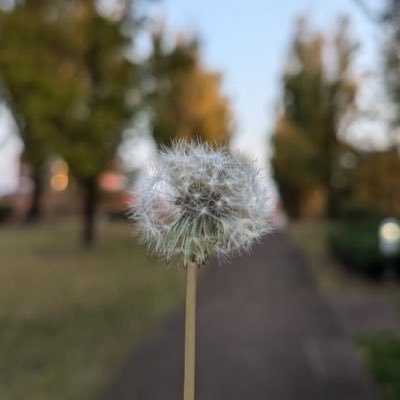 hn_a_b's profile picture. のんびり生きたい25歳の在宅エンジニア🐈⸒⸒⸒⸒