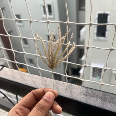 svaish610's profile picture. 23 / maximising shareholder value by not breaking prod / humour more broken than my code