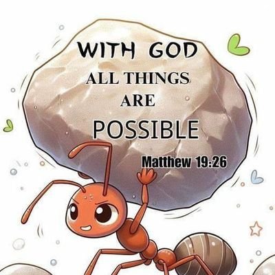 RoseTahina's profile picture. Helping with a pure heart 💙 | Love is my strength, blessings are my wealth 🙏 #PureHeart#NoScam