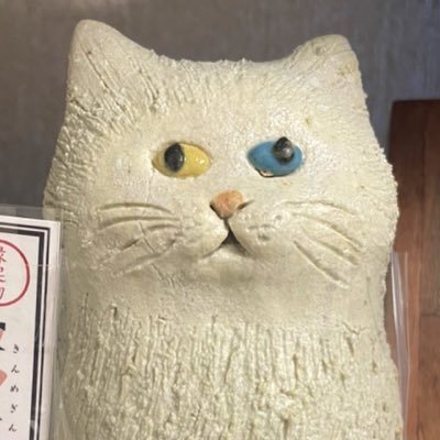 __halcy0n_'s profile picture. INFJ-AC 9w1/メンタル/政治/XRP/双極症/ADHD△