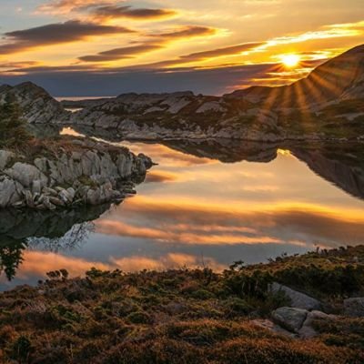 BondZabby's profile picture. Nature and life.
Freelance tiler