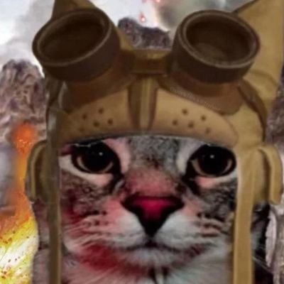 mh wilds ou rien
https://t.co/bibsaB9KK3