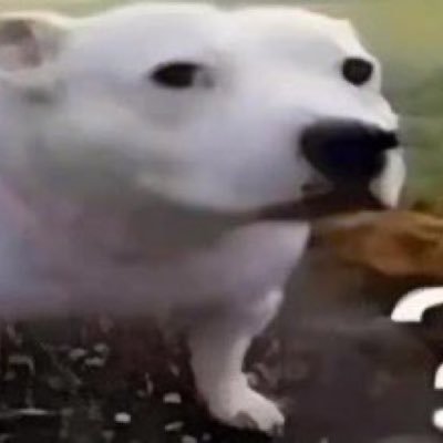 arthuree2222's profile picture. Mongolie et Anthony Edwards fan account