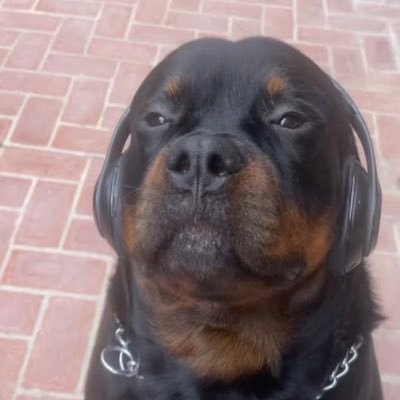 dobsdrunk's profile picture. If this is earth then what is heaven?