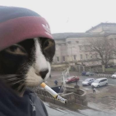 AleatorioK32534's profile picture. ele/dele 18y pan