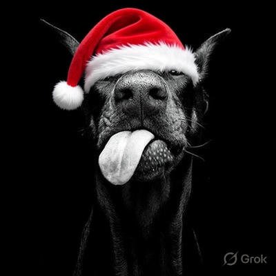 ihtiandrs12's profile picture. If you lack a sense of humour, do NOT follow me
https://t.co/8789KPrCr7