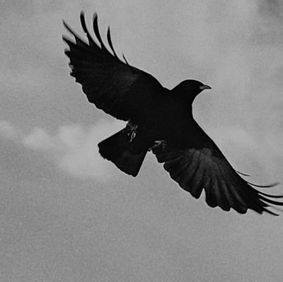 zoha_1224's profile picture. چک نویس مغزم .. :)