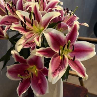 JoudXAlharbi's profile picture. 