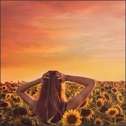 Halapua25577's profile picture. Gods determine what you're going to be。