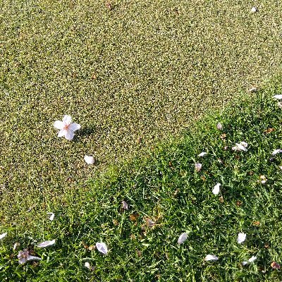 konpeki1976's profile picture. 