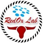 Red0xLab_iiserk